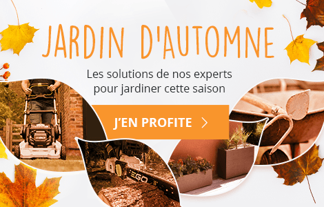 La boutique du moment : Jardin d'Automne