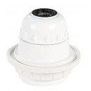 15001-047291.jpg EBENOID