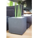 13733 G-ANT Ambiance (3).jpg EDA PLASTIQUES