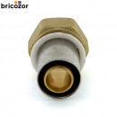 67ebfb70b3635.jpg BRICOZOR