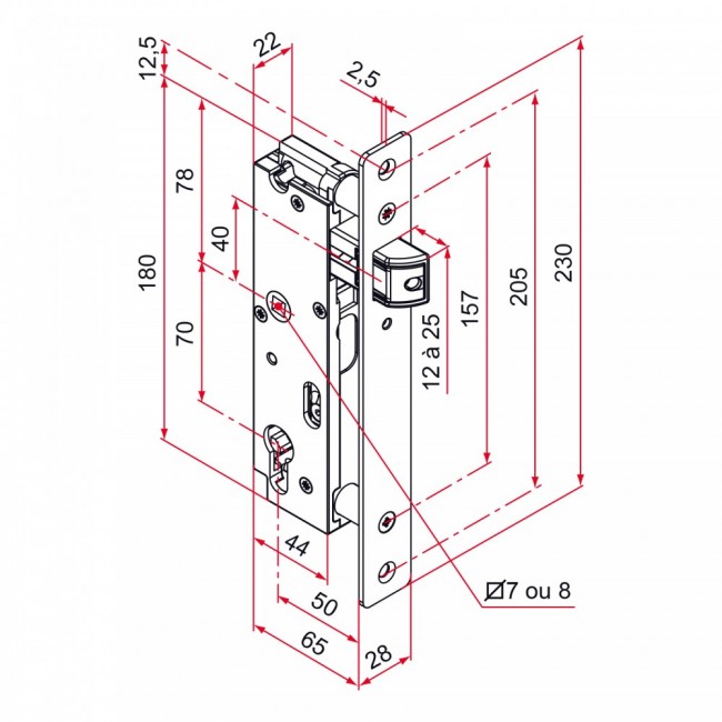 sche-ma-serrure-a-larder-pour-portail-et-portillon-battants-axe-50-mm-gk-bricozor-jpeg-square-1000x1000.jpeg TIRARD