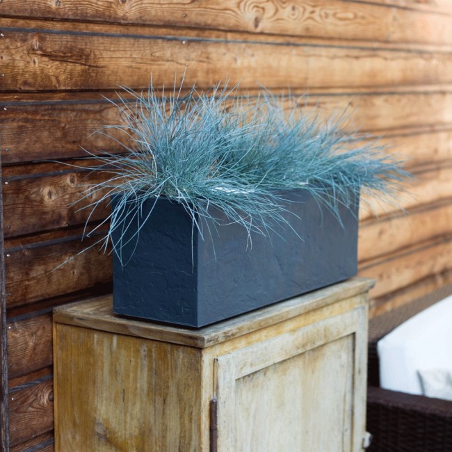 27316a1d6e67fc42fee4b0a46f39.jpeg EDA PLASTIQUES