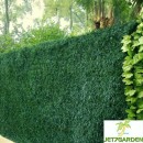 haie-artificielle-tuyas-jat7garden-CMJ7GLUX.jpg JET7GARDEN