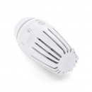 0_B1_617694_00450.jpg GIACOMINI