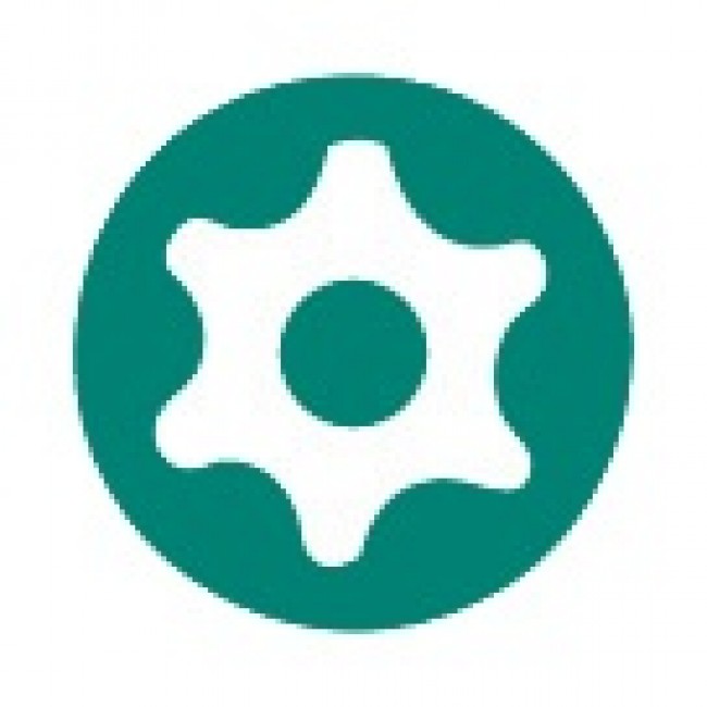 empreinte tournevis resistorx_01.jpeg SAM OUTILLAGE