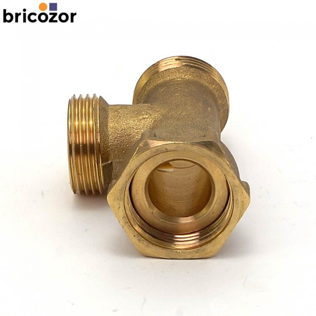 2_B6_221483_00094.jpg BRICOZOR