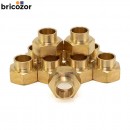 2_F2_732804_00094.jpg BRICOZOR