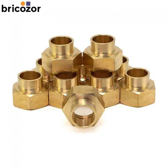 2_F2_732804_00094.jpg BRICOZOR