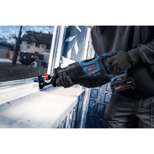 EXSA18V-32_Application_52147_Bluelook.jpg BOSCH