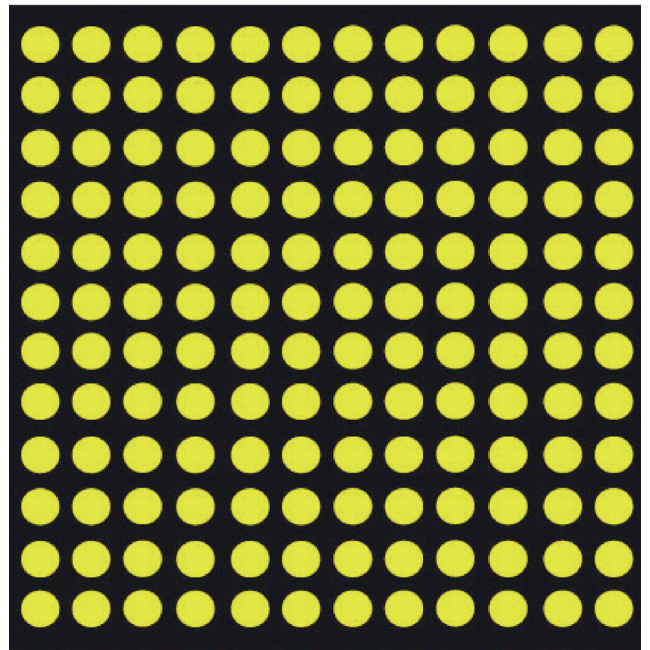 S568968.gif WATTELEZ