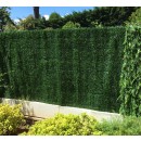 IMG_1602 (2).JPG JET7GARDEN