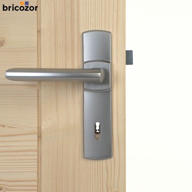 2023_06_02_VACHETTE_SCULT_CHROME_VELOURS_21_00004_BRICOZOR.jpg VACHETTE