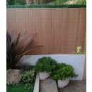Canisse Teck 2 JET7GARDEN