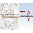 M_G_03_MS_F_SALL_APP_V3.jpg FISCHER