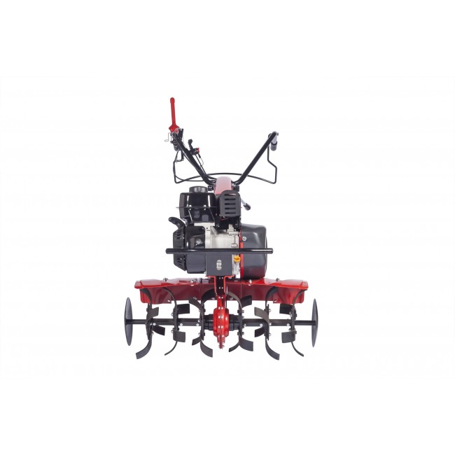 Motobineuse thermique 6 fraises - moteur B&S 950 - Z8 Labour - Bricozor 1.jpeg EUROSYSTEMS