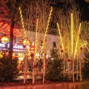 pm_11812_443_443758-nij8hqj5f8-whr.jpg FESTILIGHT