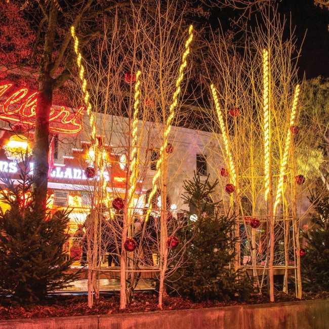 pm_11812_443_443758-nij8hqj5f8-whr.jpg FESTILIGHT