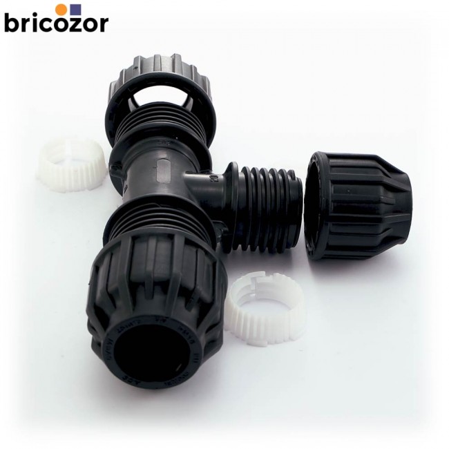 4_E4_373920_00282.jpg CODITAL