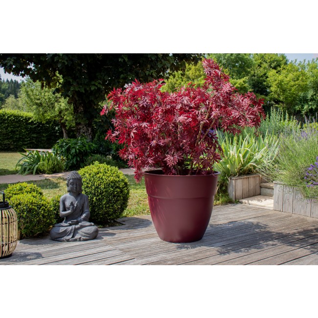 13584 RO-BO Ambaince.jpg EDA PLASTIQUES