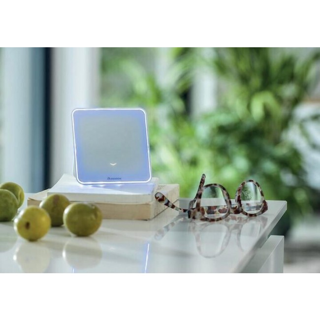 pm_11812_85_85294-mu5mgrygsa-whr.jpg RENSON