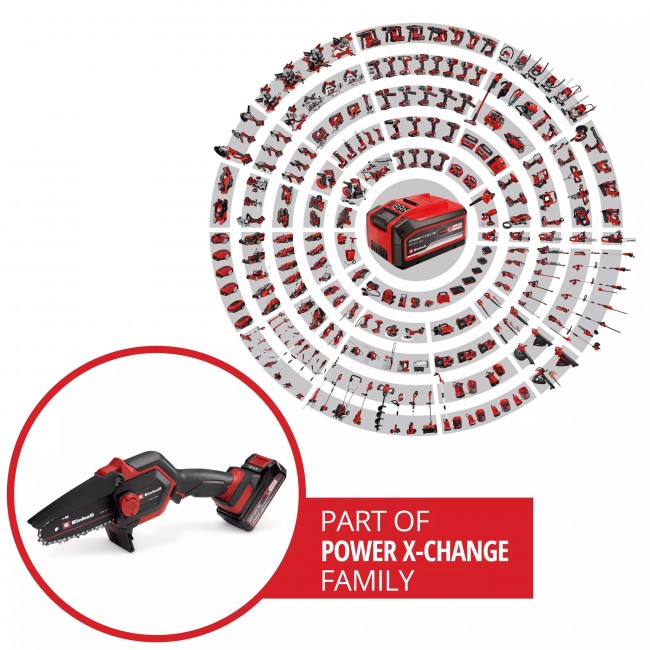 Élagueuse sans fil GE-PS 18:15 Li Bag Kit - Power X-Change - Bricozor 2.jpeg EINHELL
