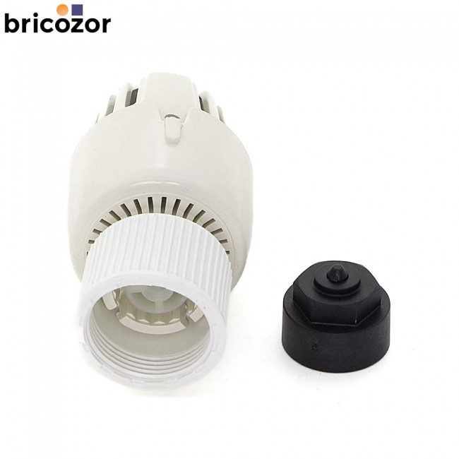 4_B4_624372_00282.jpg RBM