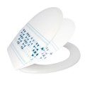 20190612170610-09e87ff0-cu_e520.jpeg MSV