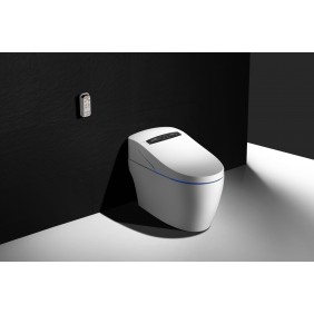 WC Monobloc - Luxe Platinium + TopToilet