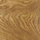 Ch_ne-moyen_1.jpg BLANCHON