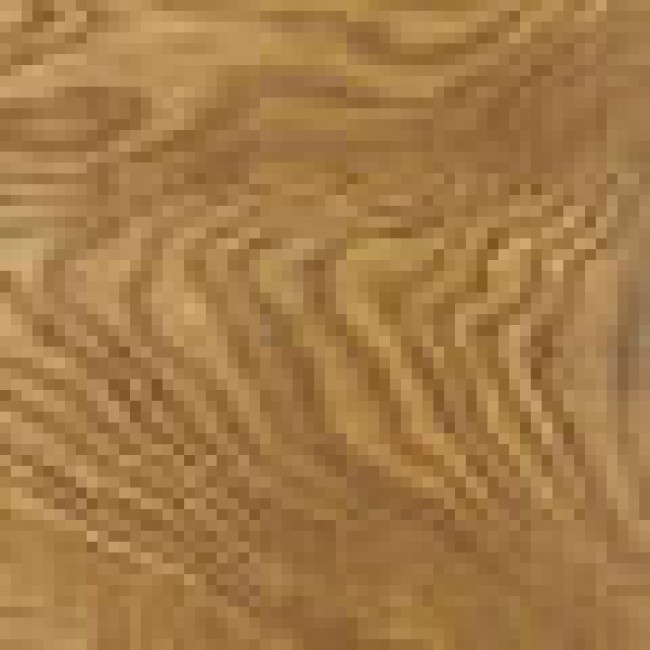 Ch_ne-moyen_1.jpg BLANCHON