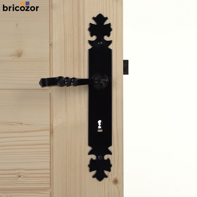 35_2023_06_07_BOUVET_BOURGOGNE_FER_NOIR_302889_00004_BRICOZOR.jpg BOUVET