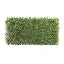 treillis-Lierre-de-Boston2.jpeg JET7GARDEN