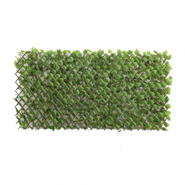 treillis-Lierre-de-Boston2.jpeg JET7GARDEN