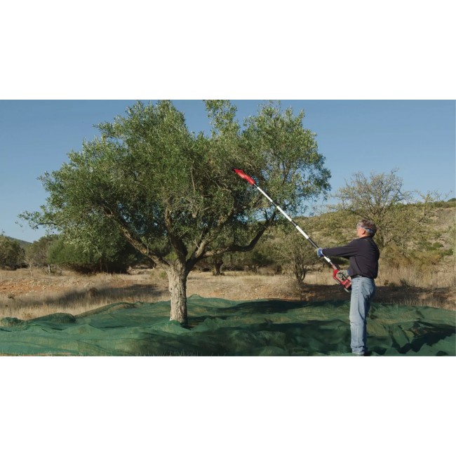Secoueur de fruits sans fil GE-FS 18:53 Li-Solo - Power X-Change - Bricozor 4.jpeg EINHELL