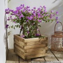 000399_AMB_01_HD.jpg CERLAND