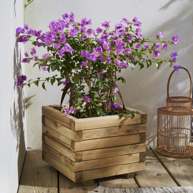 000399_AMB_01_HD.jpg CERLAND