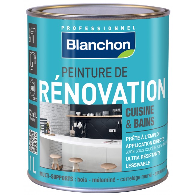 Peinture_Renovation_ 1L.jpg BLANCHON