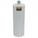 4039976100670.jpg REMS