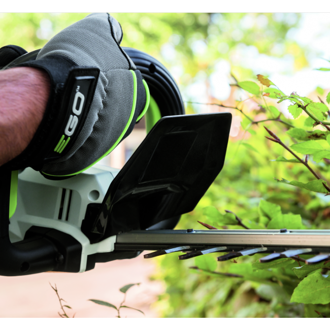 Capture d’écran 2021-02-18 à 10.32.04.png EGO