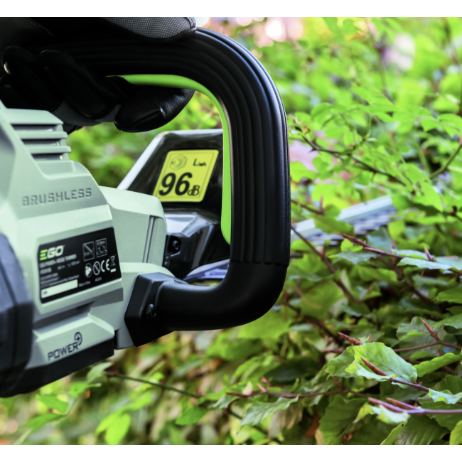 Capture d’écran 2021-02-18 à 10.32.19.png EGO