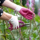 21_PE-144.jpg BLACKFOX