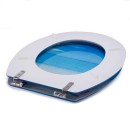 20210713121617-d0275e5c-cu_e520.jpeg MSV