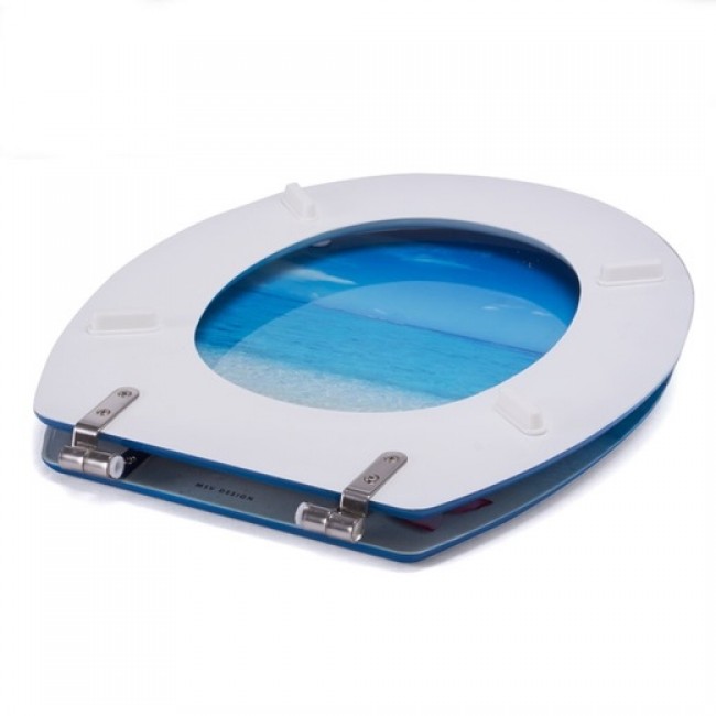 20210713121617-d0275e5c-cu_e520.jpeg MSV