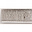 WI497701-500.jpg SEED