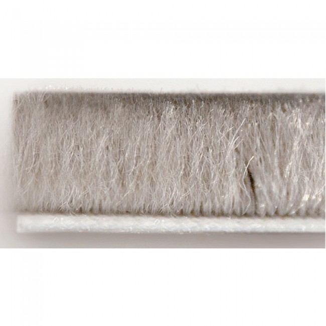 WI497701-500.jpg SEED