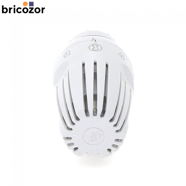 2_B1_617694_00094.jpg GIACOMINI