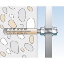 M_G_05_MS_F_SALL_APP_V3.jpg FISCHER