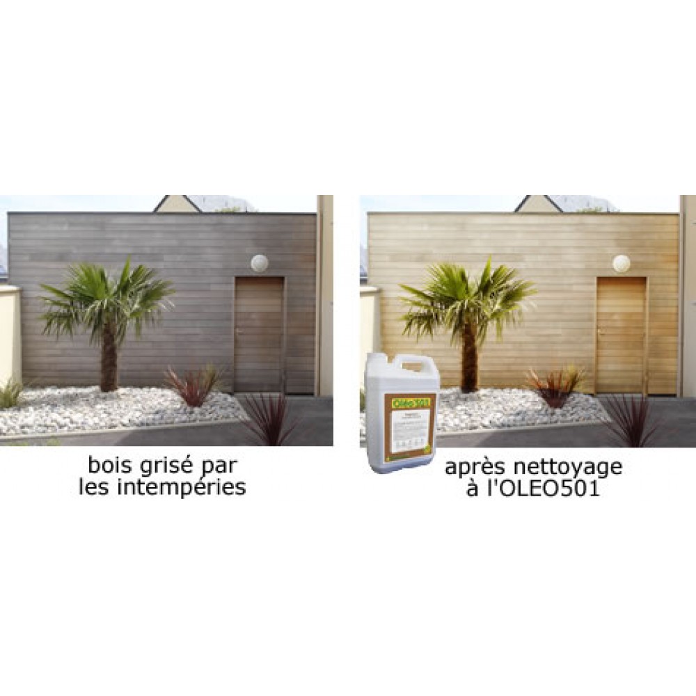 Nettoyant terrasses - concentré – économique – Net terrasse DALEP