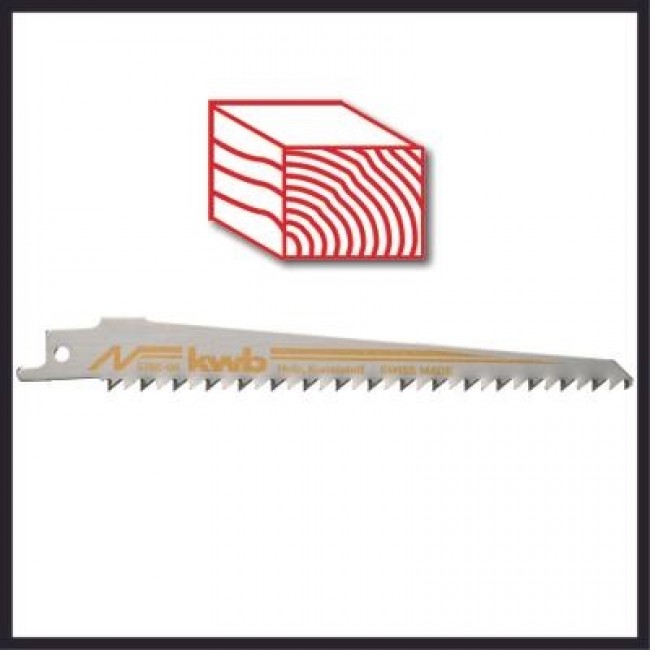 Scie universelle sans fil - TP-AP 18:28 Li BL - Solo - Power X-Change - Bricozor 6.jpeg EINHELL