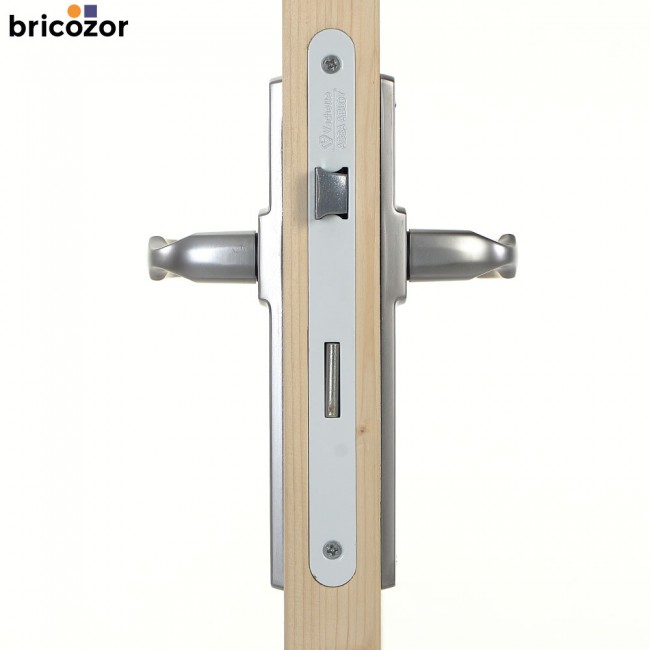 2023_06_02_VACHETTE_ARTIS_CHROME_VELOURS_29_00002_BRICOZOR.jpg VACHETTE